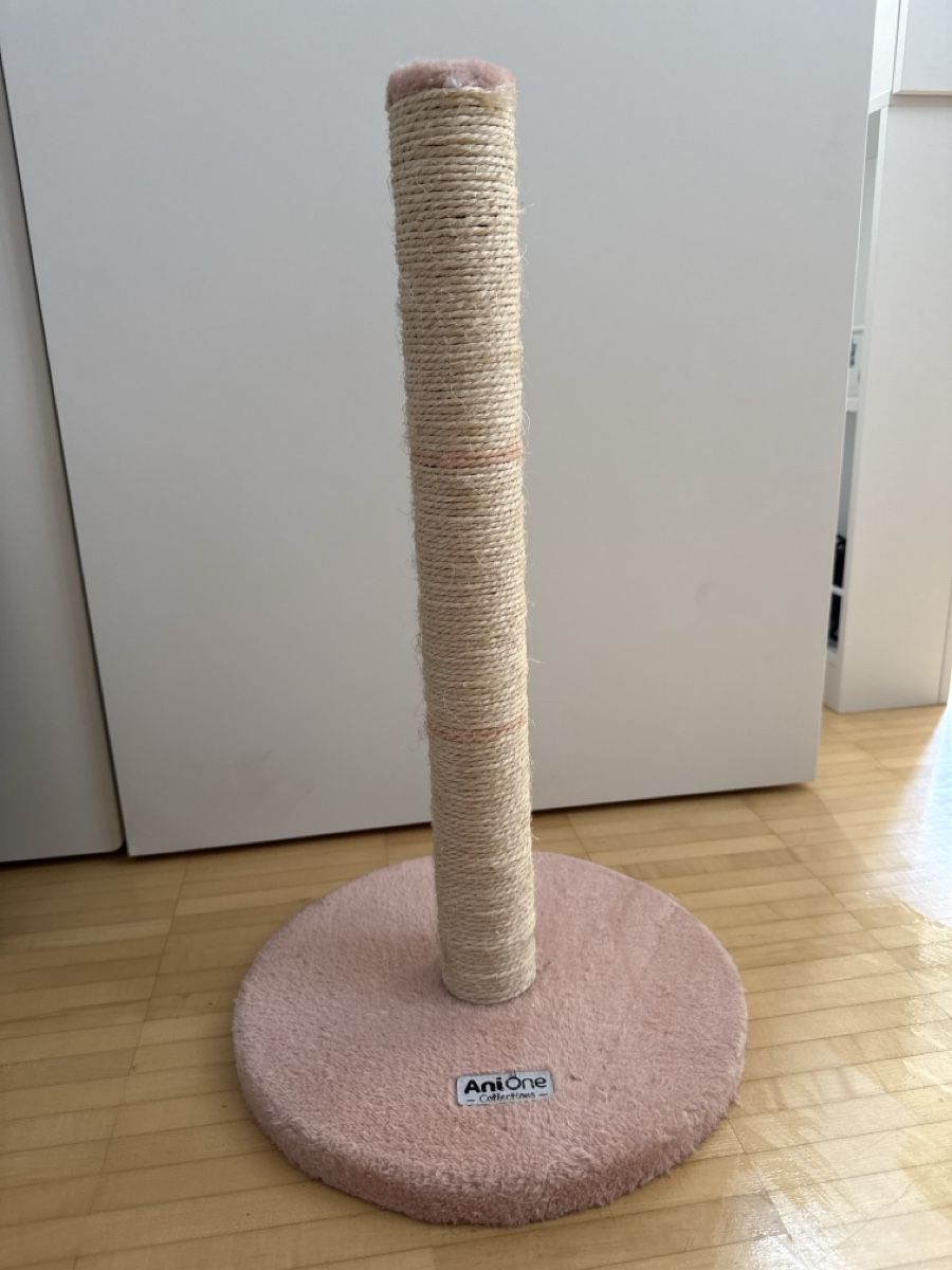 Tiragraffi: Cat Bundle: Scratch Post, Litter Box, Toys - Great Deal! – Usato da Aesch BL venduto da 133_kiky 3