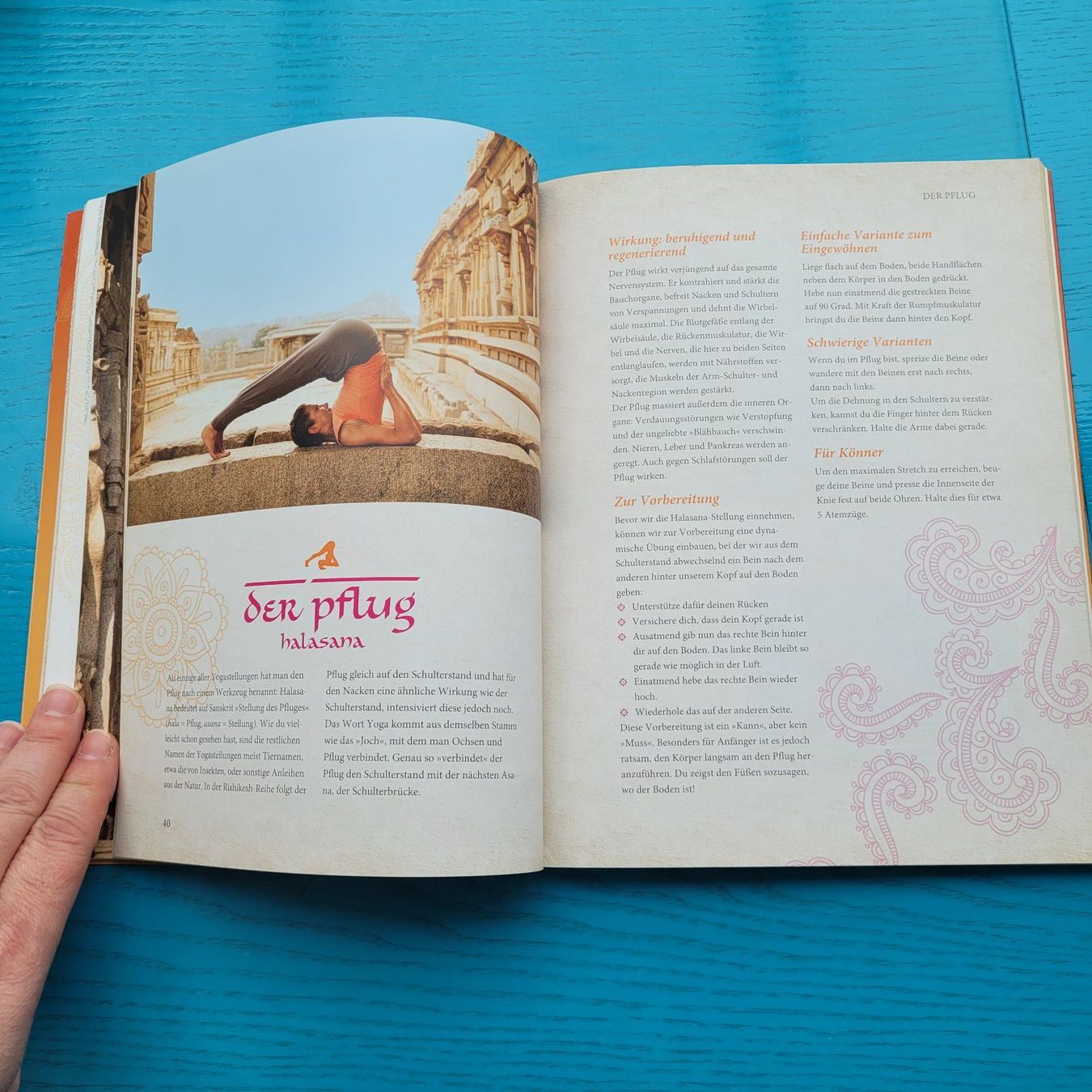 Libri: all about YOGA - Mit DVD !! – Nuovo (secondo la descrizione) da SCHÜBELBACH venduto da CoKaHa 5