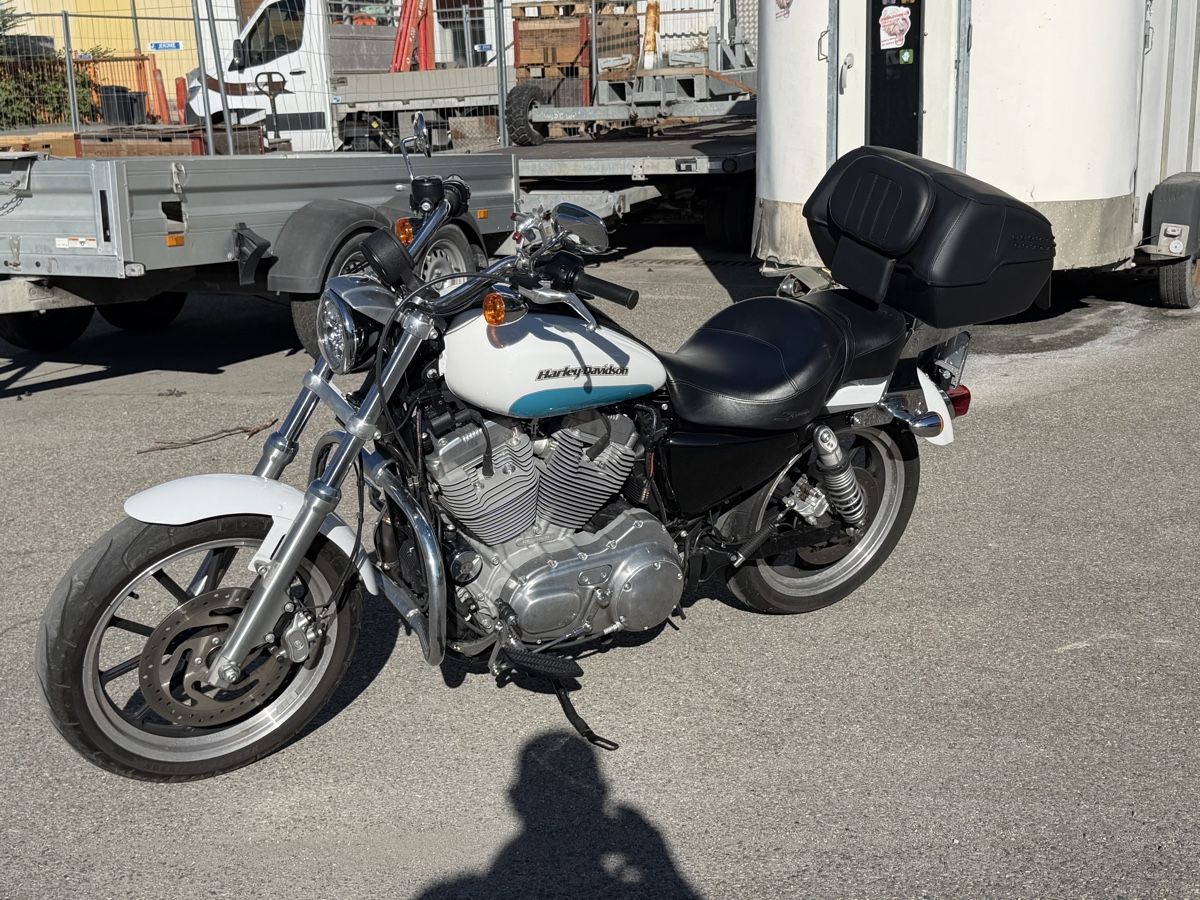 Harley-Davidson Chopper: Harley Davidson 883 2015 – Usato da Grand-Lancy venduto da Jojo6466 3