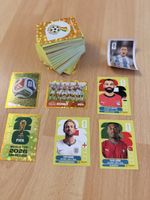 187 panini doppelte ab 1.-