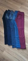 Lot de 5 jeans Salsa femme (T.28-29)