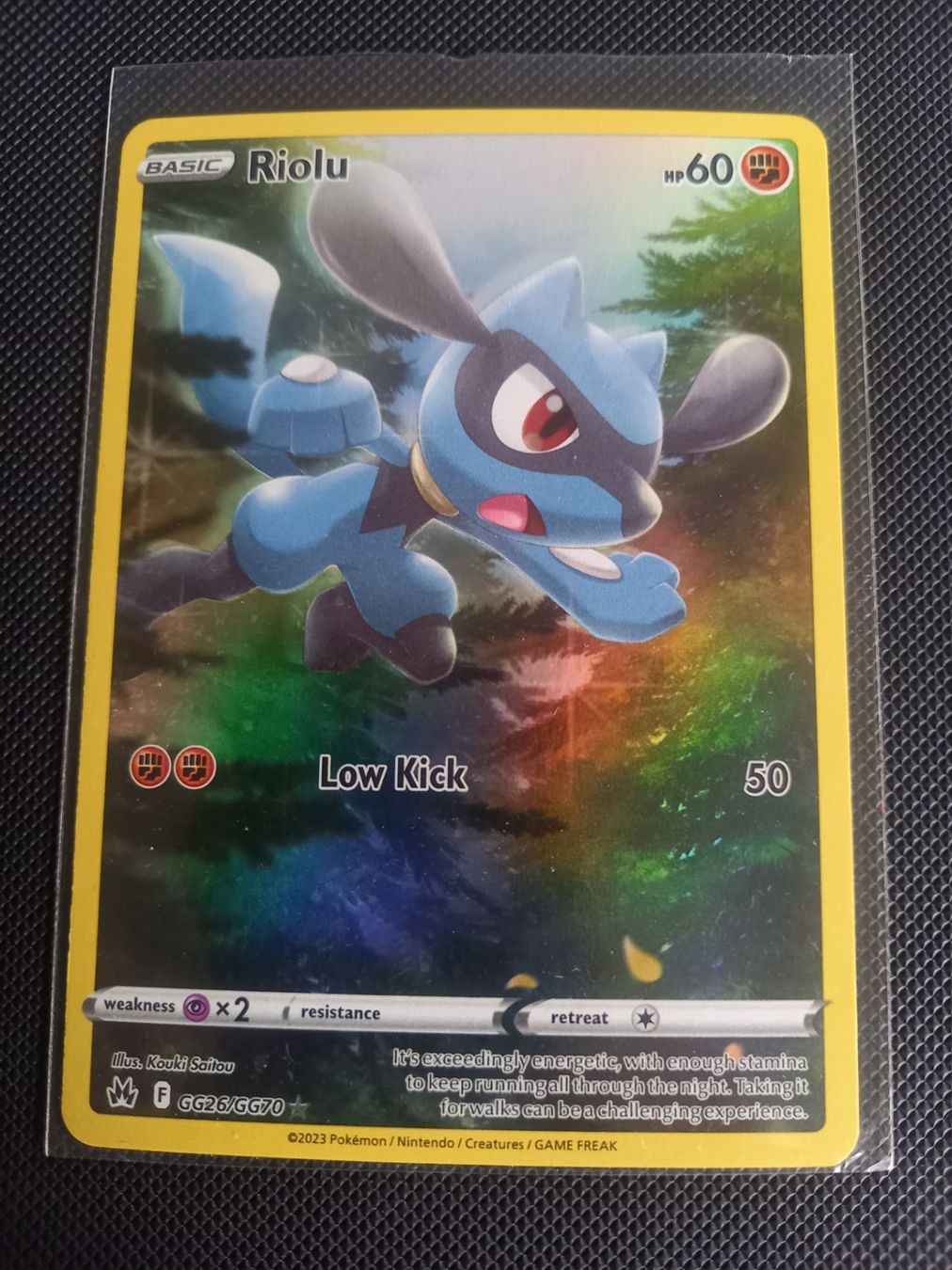 Pokémon Carte collezionabili: Riolu GG26/GG70 - Crown Zenith - Mint - EN – Nuovo (secondo la descrizione) da Genève venduto da eti_lnc7