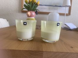 Leonardo Teelichtglas Windlicht pastellgelb, 2 Stk. neu