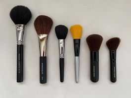 6 Kosmetik-Schmink-Pinsel in diversen Arten