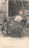 Spinnen Vallee de Champéry