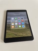 iPad Mini 2012 16 GB