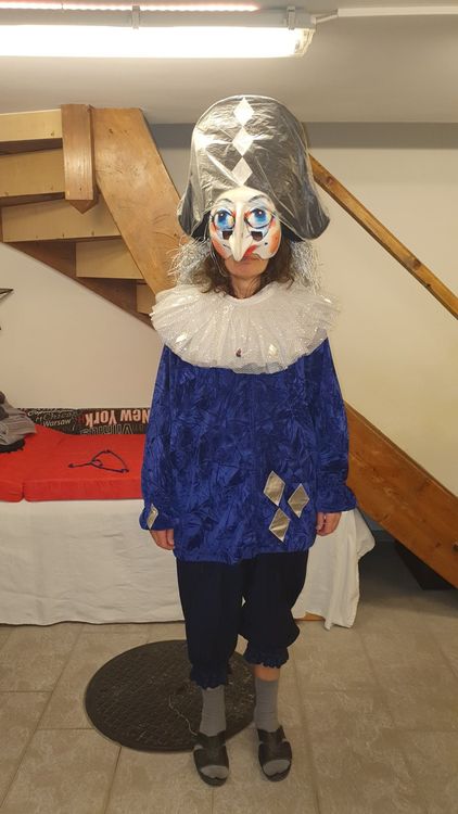 Harlekin Basler Fasnacht | Acheter sur Ricardo