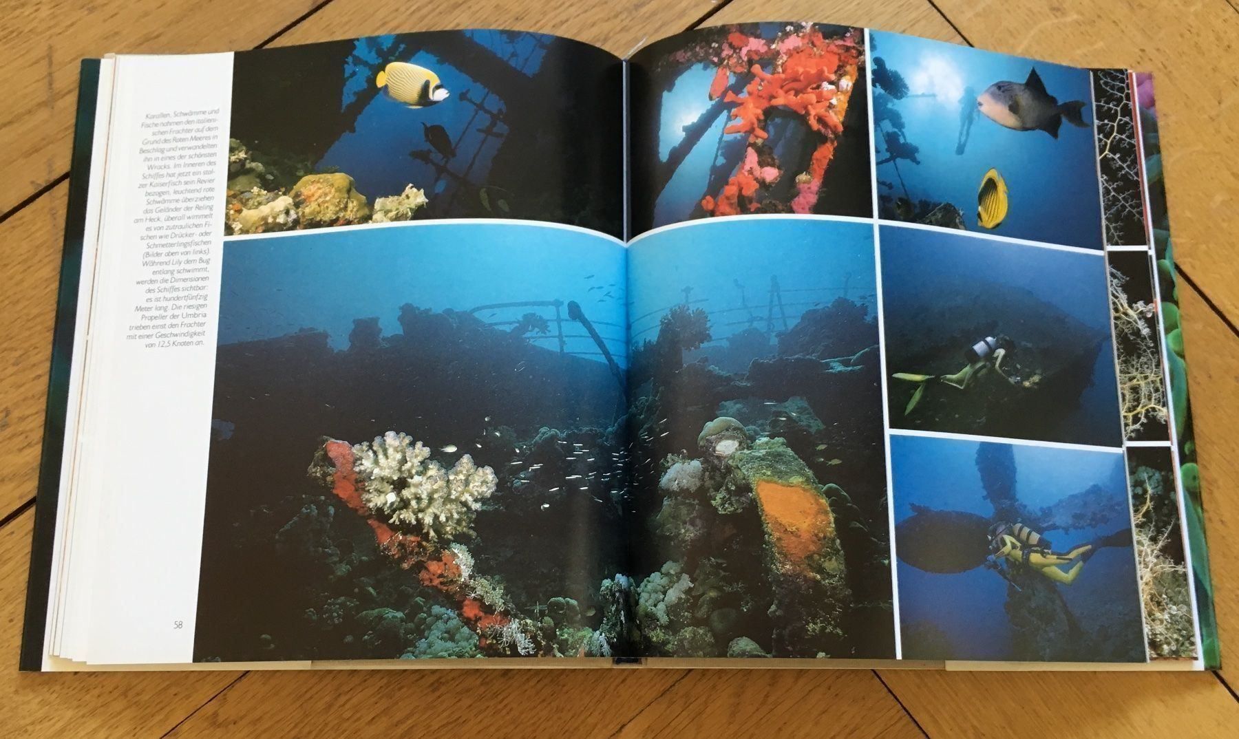 Libri: Das Meer lebt – Usato da Basel venduto da Ostschweiz06 1