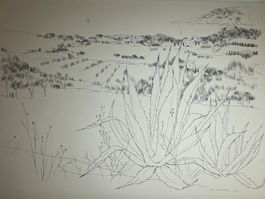 MAURICE GENIS (Frankreich, 1925 - 2013)