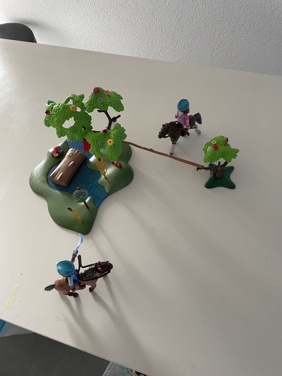 Playmobil Giocattoli: Playmobil Spirit – Usato da Montsevelier venduto da Leamnoev 2