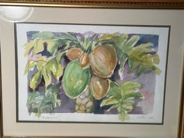 Belle aquarelle signée