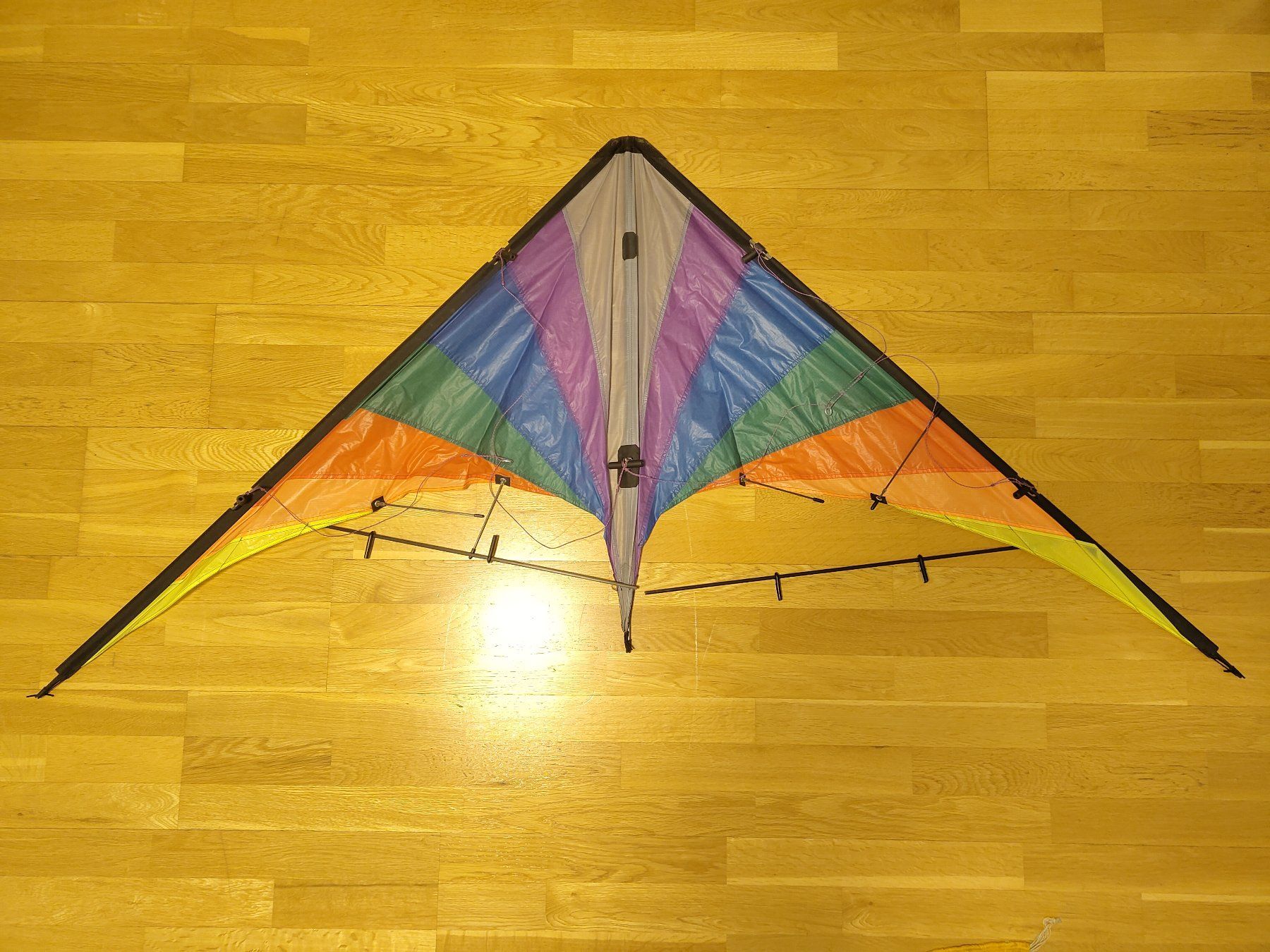 Kite: Fluglenkdrachen mit Lenkschnur – D'occasion à Bern par Wushu