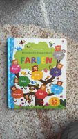 Usborne Verlag Mein buntes Klappenbuch Farben gebraucht