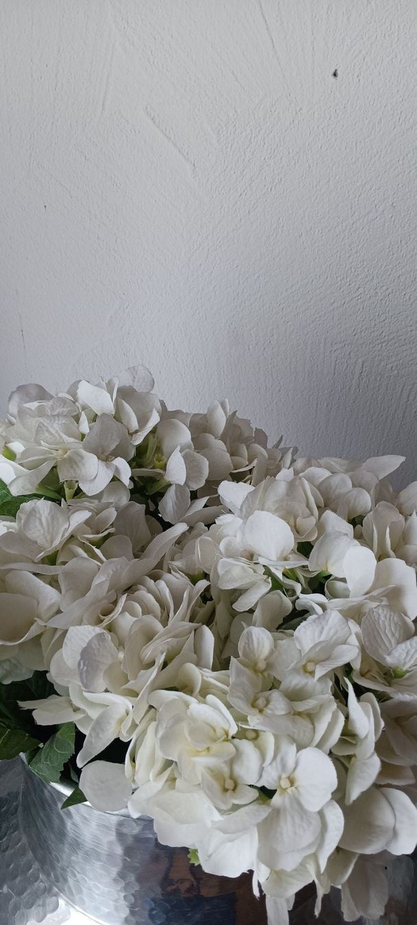 Globus Tutte le decorazioni: Stoffblumen 11 Stk.vom Globus, neu! – Nuovo (secondo la descrizione) da Maienfeld venduto da Andyr44 1