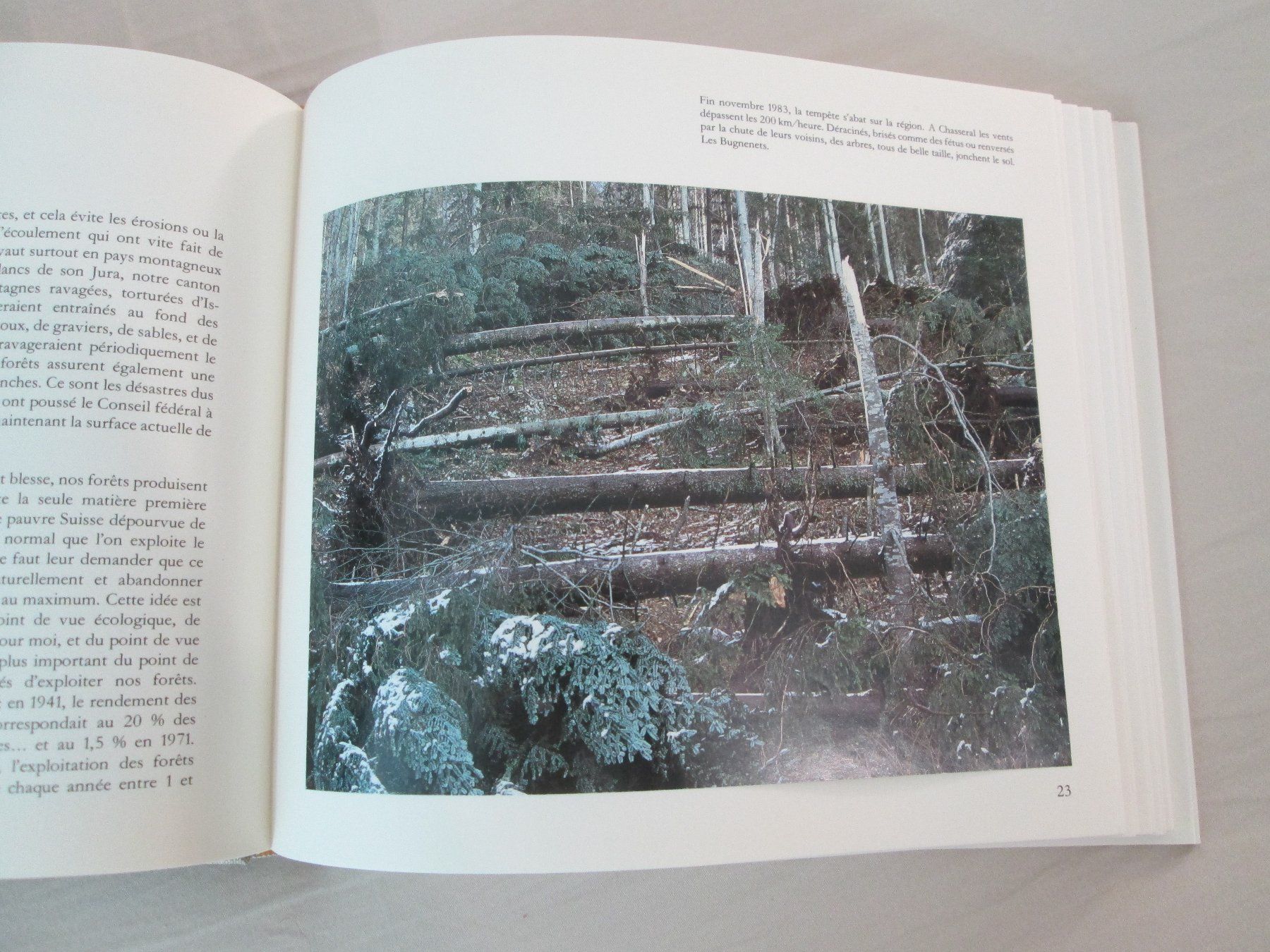 Libri: La forêt neuchâteloise – Usato da Neuchâtel venduto da Dualseele 6
