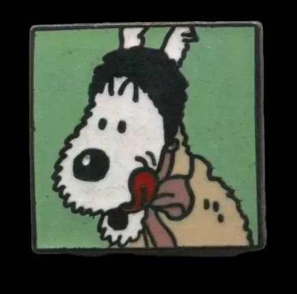 Placchette & Badge: Hergé TINTIN - Pin Corner 252 – Usato da Prangins venduto da Timband