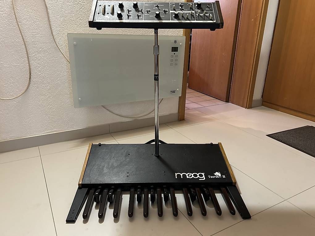 Moog Strumenti musicali: Vintage Moog Taurus II – Usato da Bellinzona venduto da Mauro03