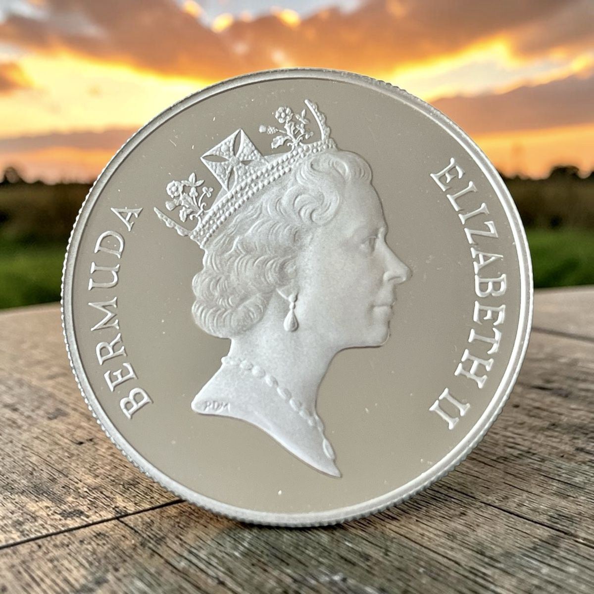 Tutti le monete: Bermuda 1 Dollar Silber – Nuovo (secondo la descrizione) da Winterthur venduto da Numismatica-Vitu