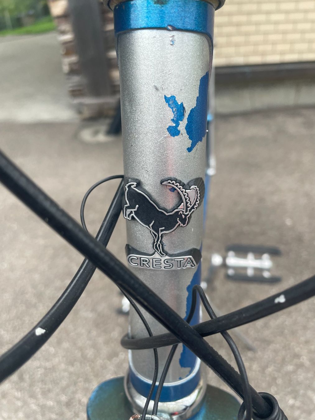 Velos: Herrenvelo – Gebraucht aus Zürich von Delphin0506 1