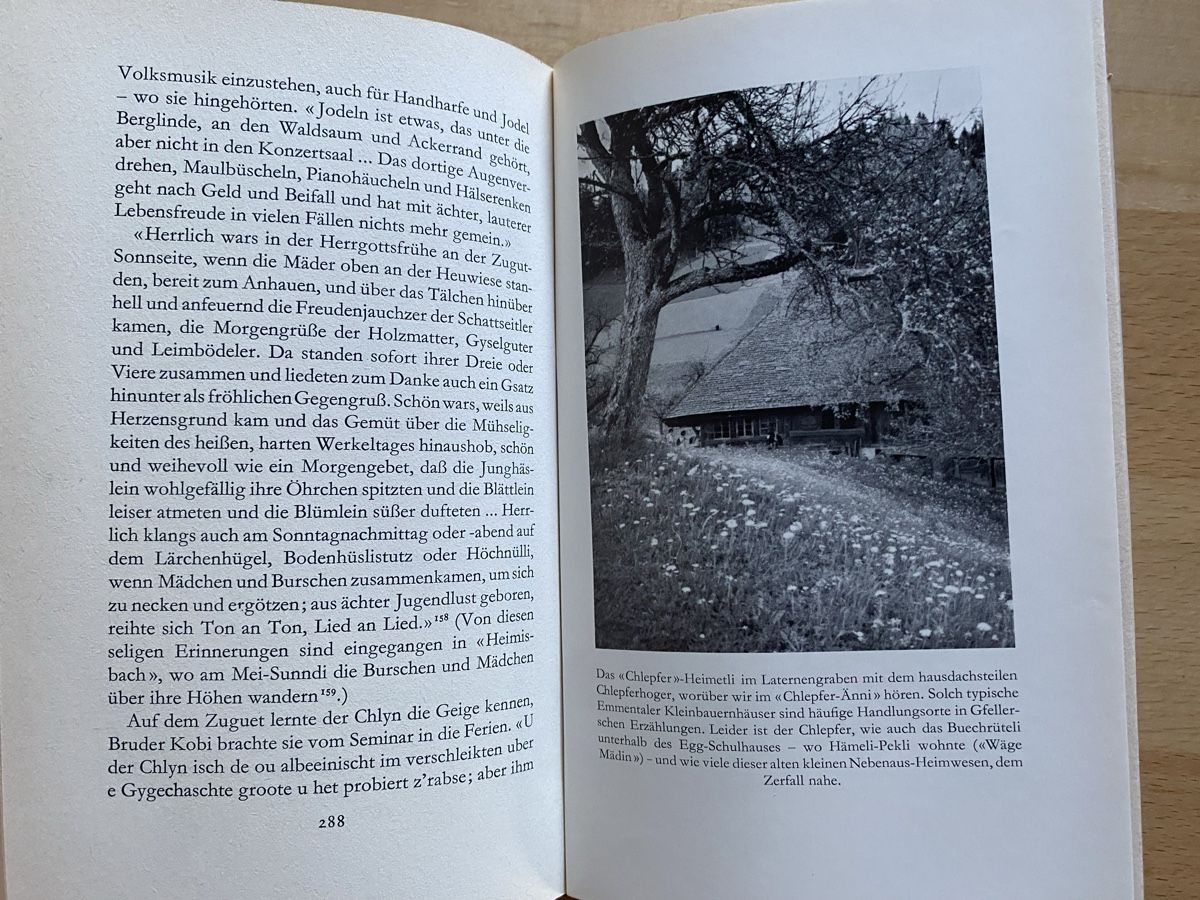 Libri: Simon Gfeller - Valentin Binggeli – Usato da Schwarzenburg venduto da Michellu 9
