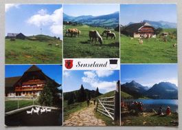Canton de Fribourg : Pays singinois