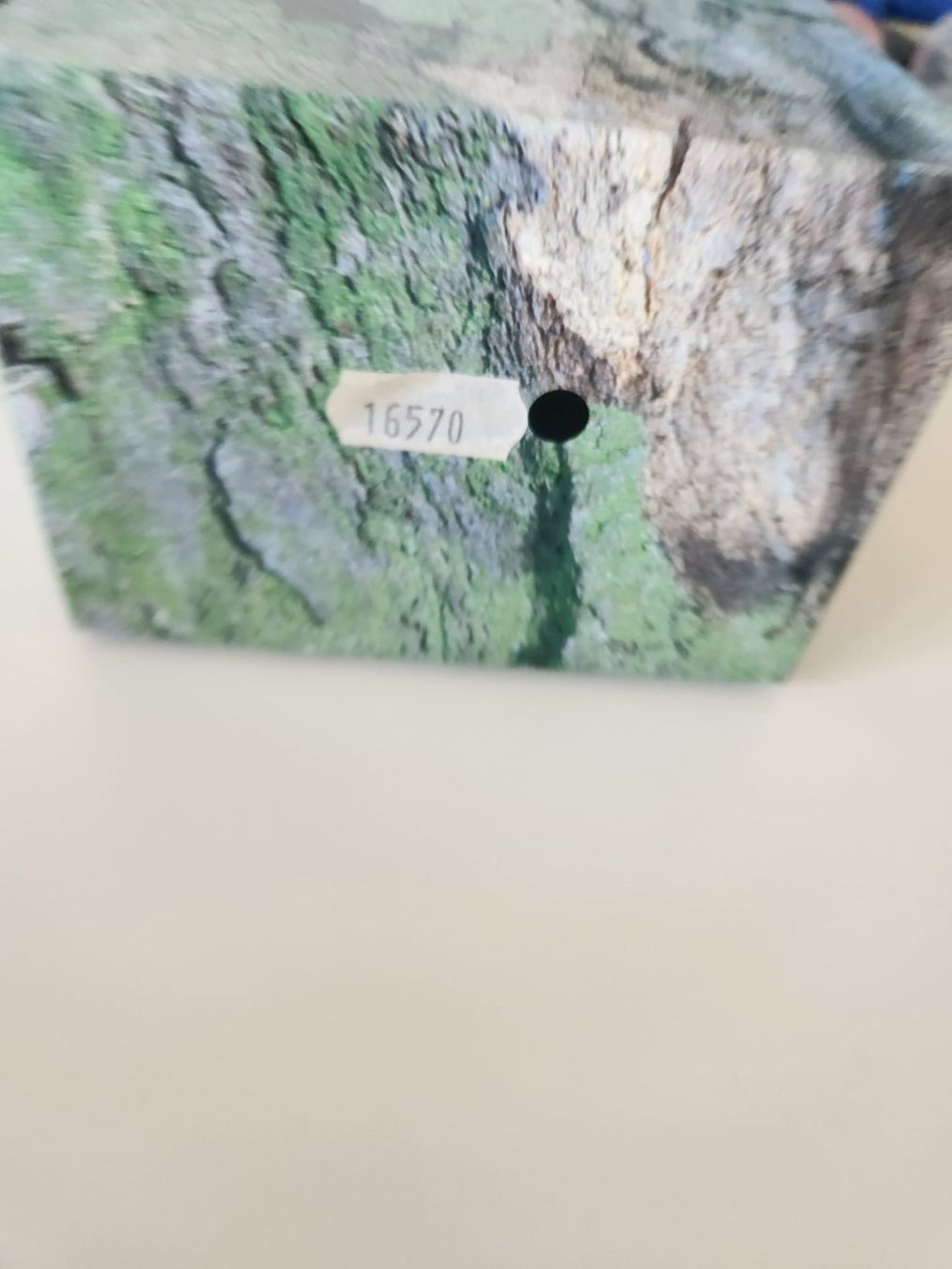 Rolex Altro in Decorazioni & Accessori: Rolex Original Box – Nuovo e nell'imballaggio originale da Stäfa venduto da Brunati-Uhren 3