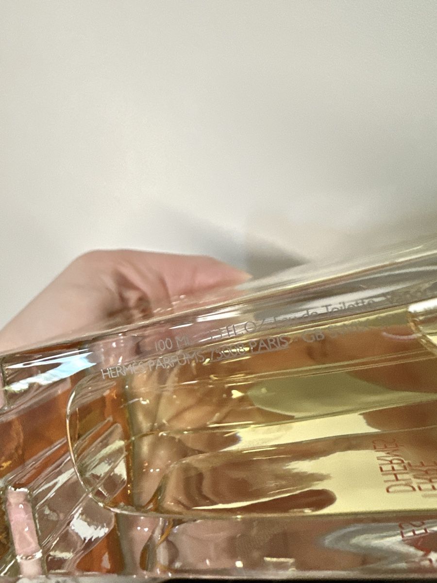 Hermès Profumi & Eau de Toilette: HERMÈS Terre d'Hermès EDT 100ml, NEU – Nuovo e nell'imballaggio originale da Bern venduto da Rausch29 1
