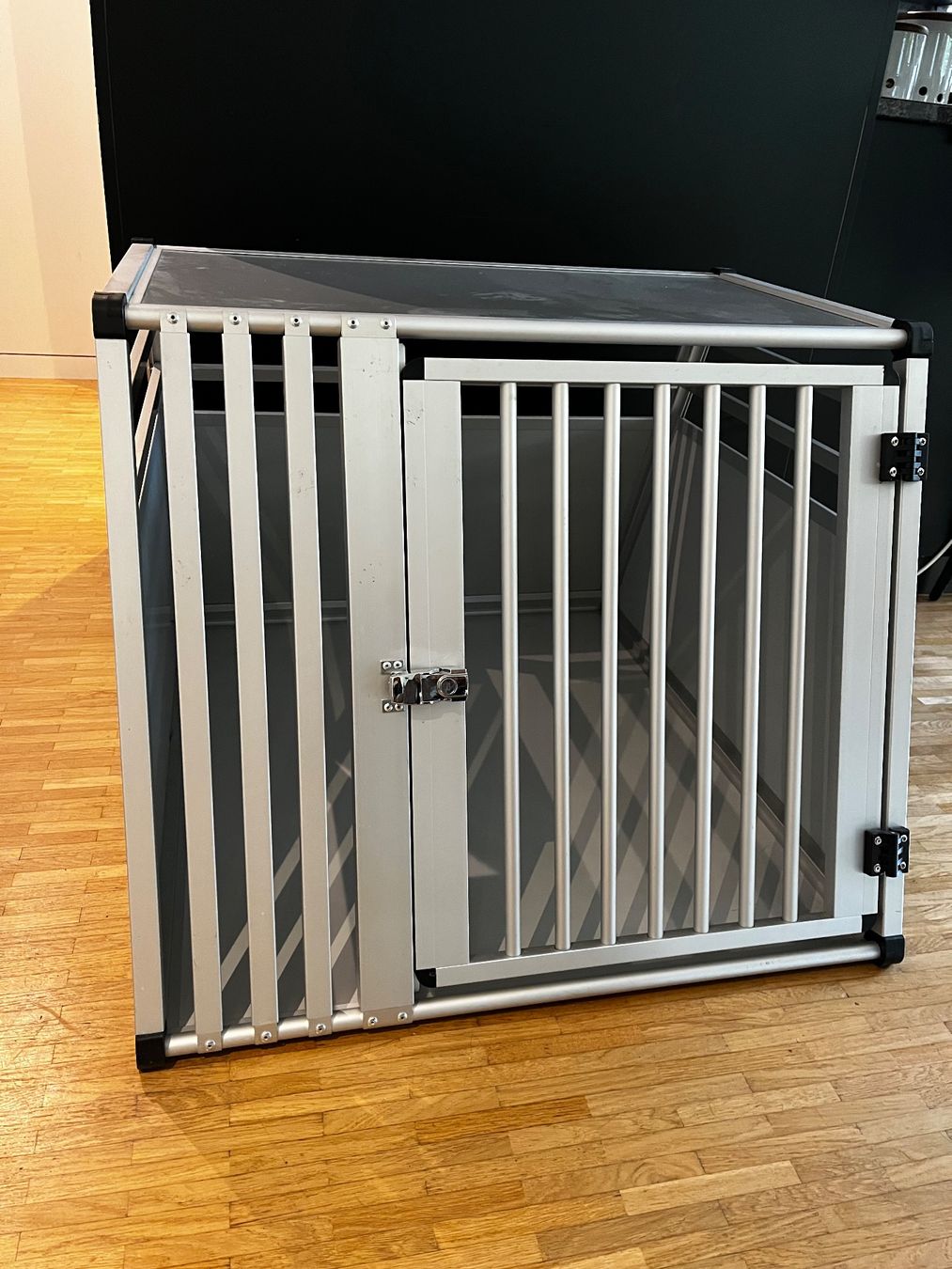 AluBox Altro in Decorazioni & Accessori: Grosse Hundebox – Usato da Zwingen venduto da xxxmichelxxx 1