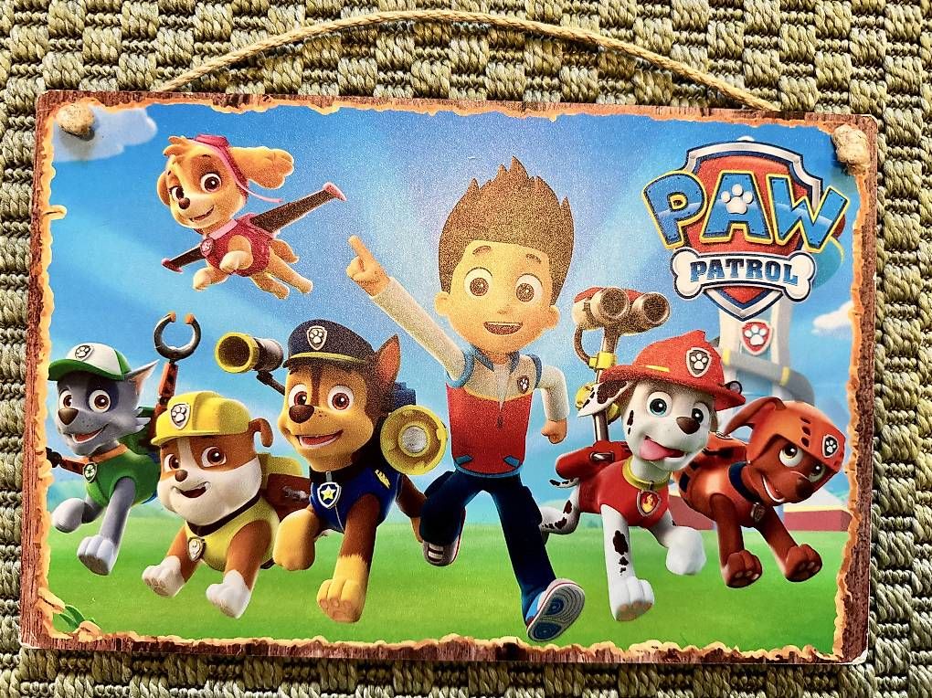 Giocattoli: Paw Patrol Bild – Usato da Malters venduto da frangecko