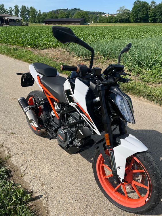 KTM 125 Duke ABS Weiss Gebraucht In G mmenen F r CHF 2990 Nur 