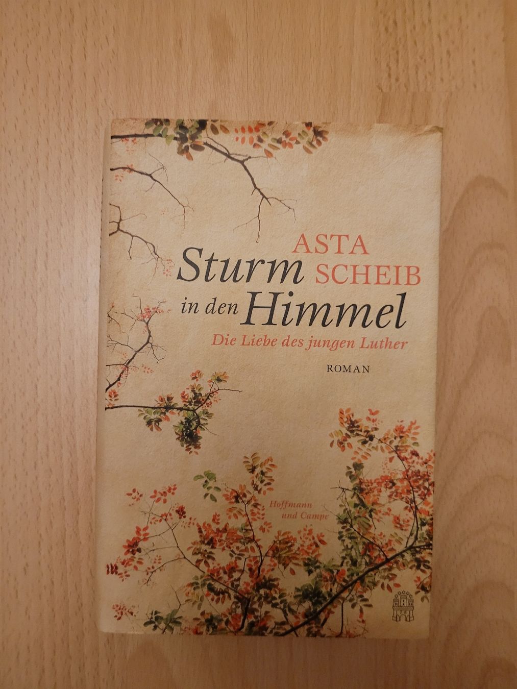 Libri: Sturm in den Himmel Asta Scheib – Usato da Perlen venduto da Safari_23