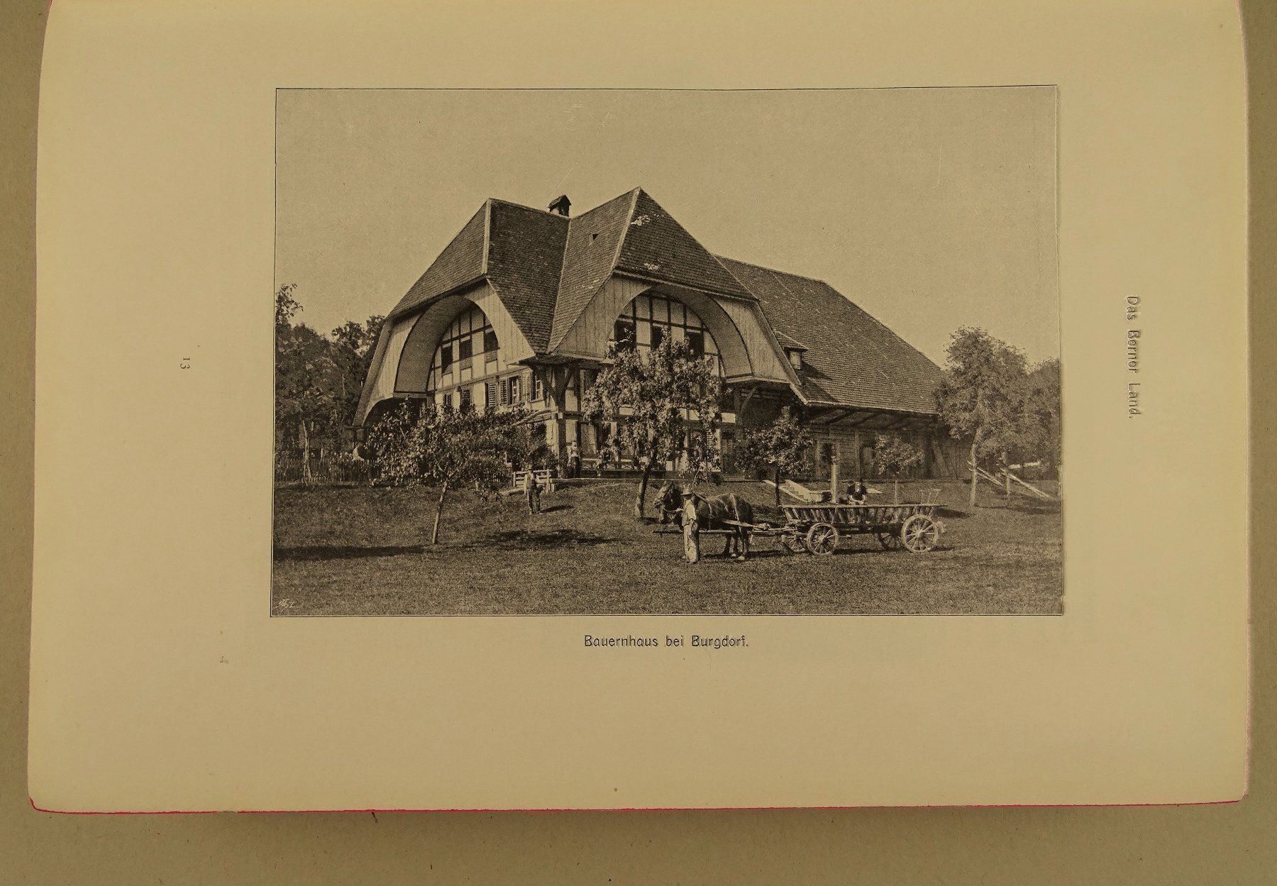 Libri: BERN UND SEINE VOLKSWIRTSCHAFT 1905 – Usato da Grüningen venduto da Kartensammler 2