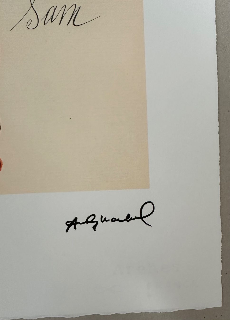 Gemälde: Warhol: Sam the Cat, POP Art 50/100 – Neu (gemäss Beschreibung) aus Meilen von Smgdesign 2