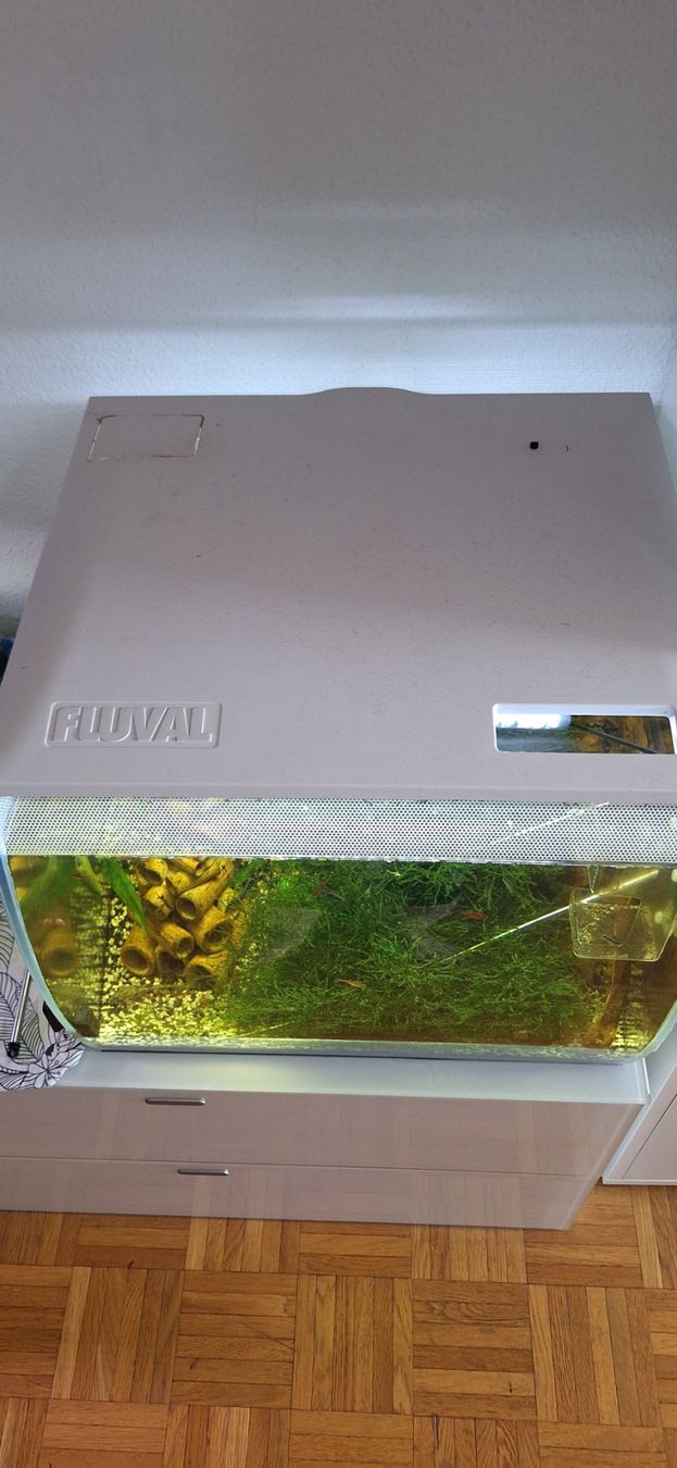 Fluval Pumpen & Teile: FLUVAL pumpe – Gebraucht aus Wetzikon ZH von NaWetzi