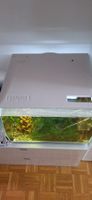 FLUVAL pumpe