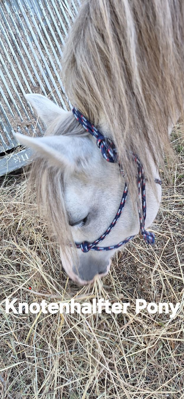 Zaumzeug & Halfter: Knotenhalfter Pony – Gebraucht aus Eggiwil von KIMBALI01
