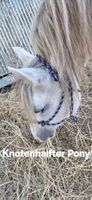 Knotenhalfter Pony