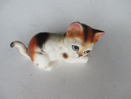 Katze 2