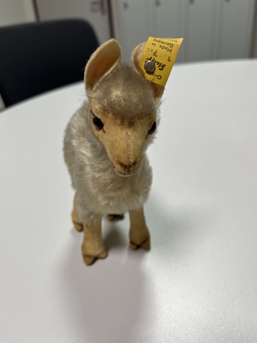 Steiff Spielzeuge: Steiff Alpaka / Lama – Gebraucht aus Dietikon von cre8different