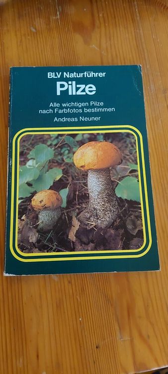 BLV Naturführer Pilze Kaufen auf Ricardo