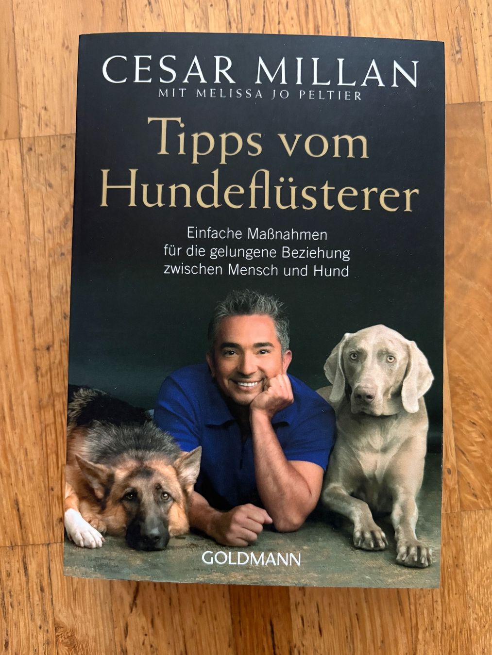 Bücher: Tipps vom Hundeflüsterer - Cesar Milan – Gebraucht aus Oberwil BL von saru-koshiro