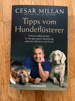 Tipps vom Hundeflüsterer - Cesar Milan