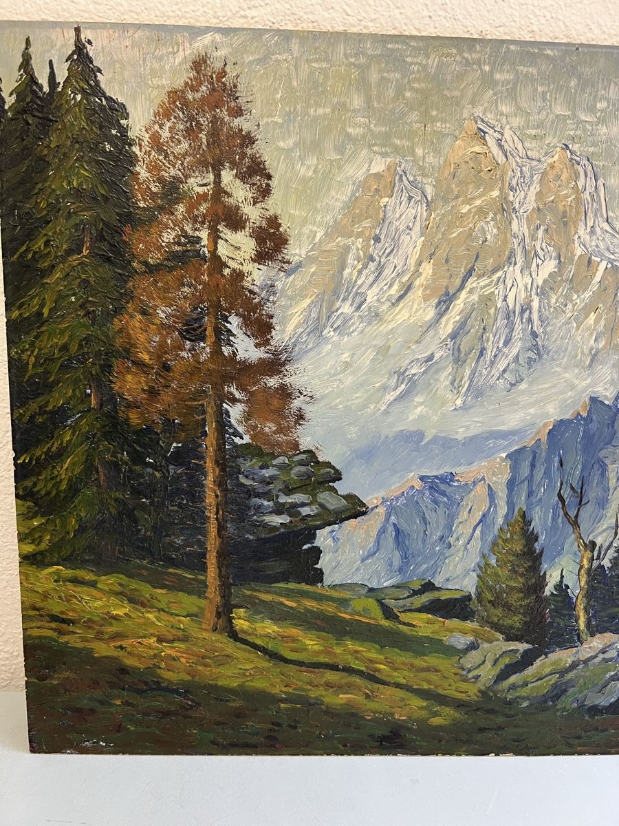 Gemälde: Berglandschaft Gemälde Anonimus – Gebraucht aus Hombrechtikon von vespa1954 2