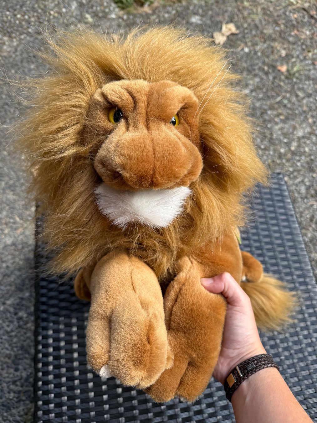 Bambole: Folkmanis Handpuppe Löwe – Nuovo (secondo la descrizione) da Unterseen venduto da delago54 1