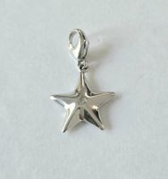 Silber 925 Charm Anhänger Seestern, naturverbunden - Neu