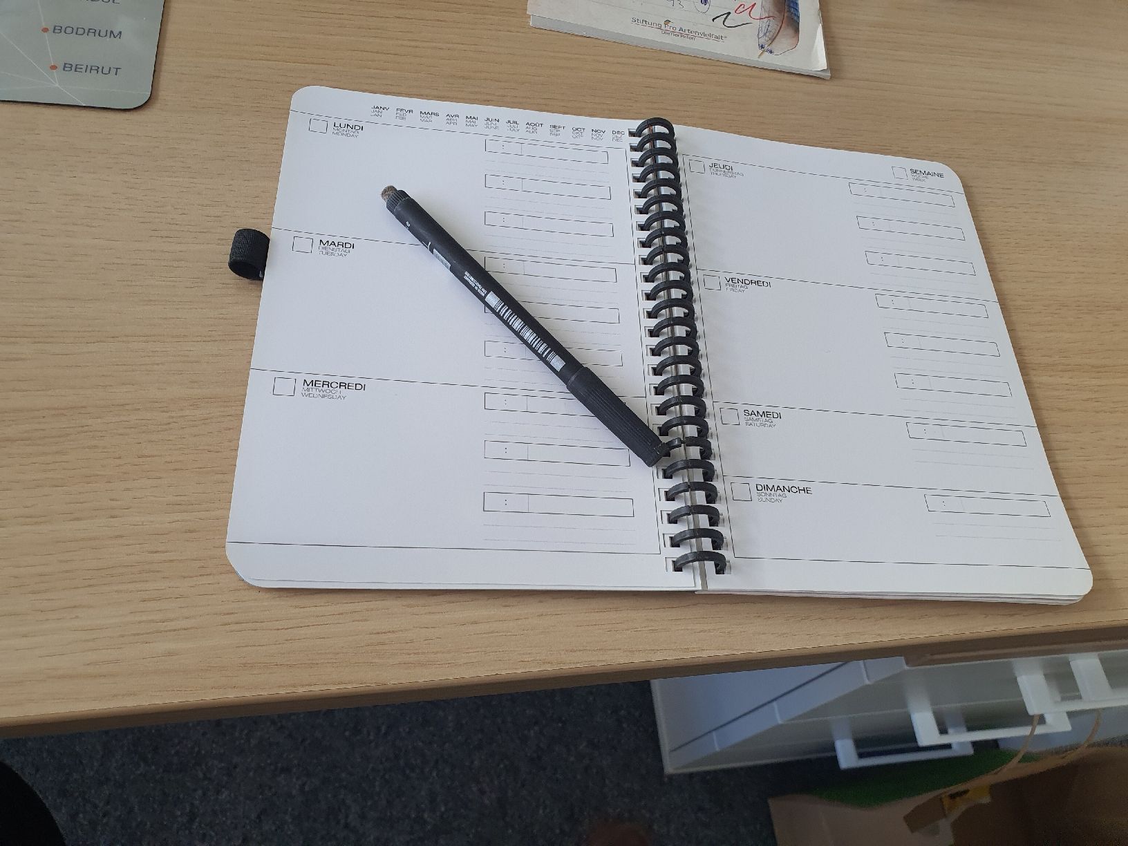 Blocchi: Perpetual Planner – Usato da Muri AG venduto da Jeromia 4