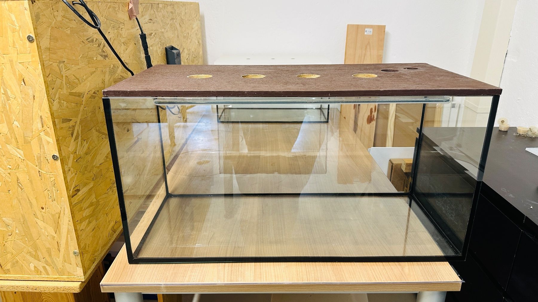 Terrario: Terrarium mit Holzabdeckung – Usato da Orpund venduto da Catangle