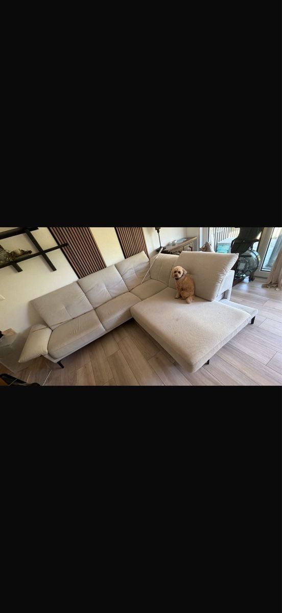 Divani: Schubiger Sofa – Usato da Turbenthal venduto da 1einhorn 1