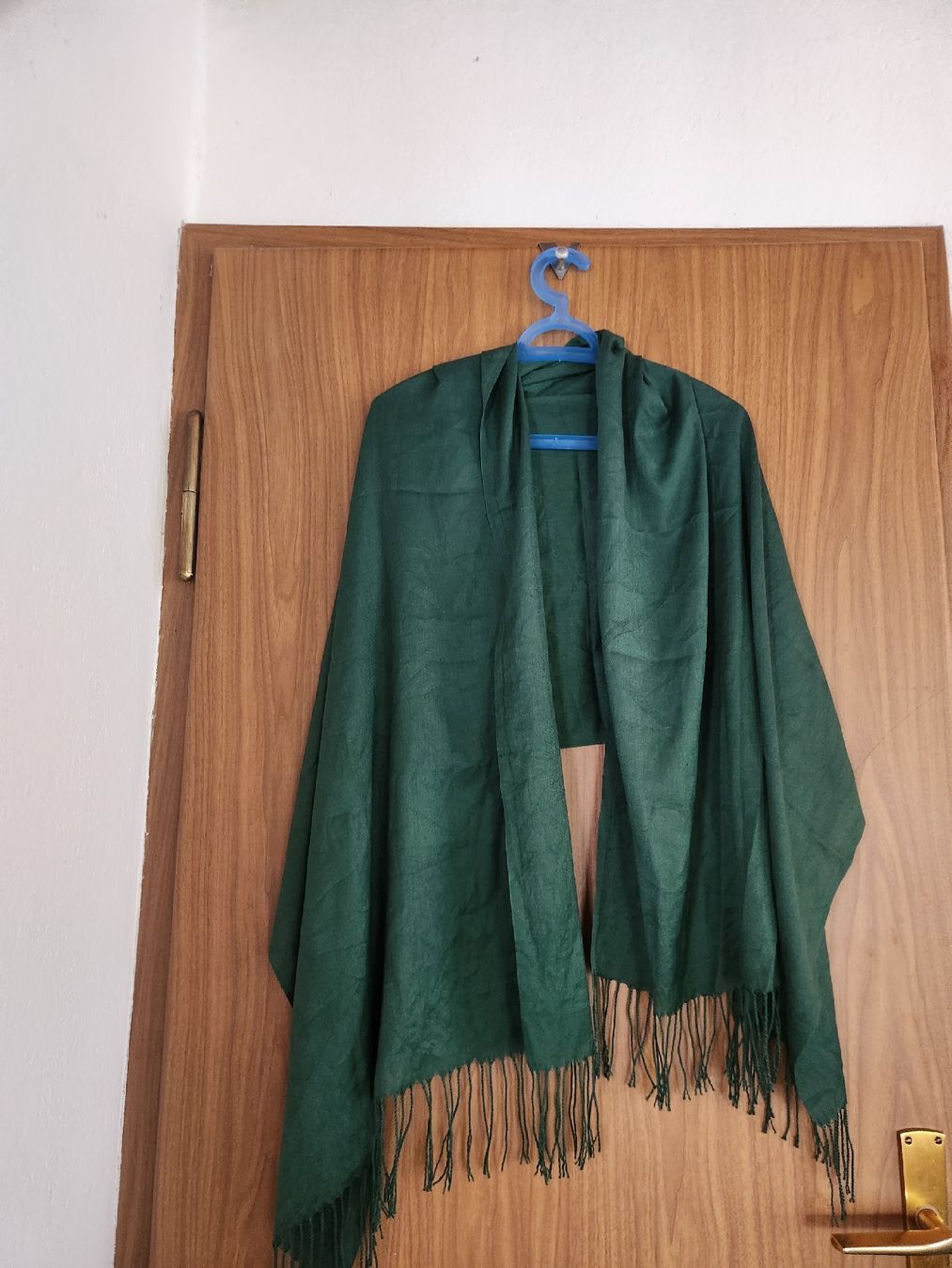 Foulards, Tücher & Schals: Écharpe cachemire vert foncé avec franges taille unique – Gebraucht aus Niedergösgen von Eva2410