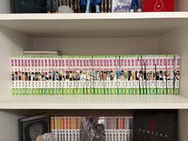 Bleach volume 1-48 in french